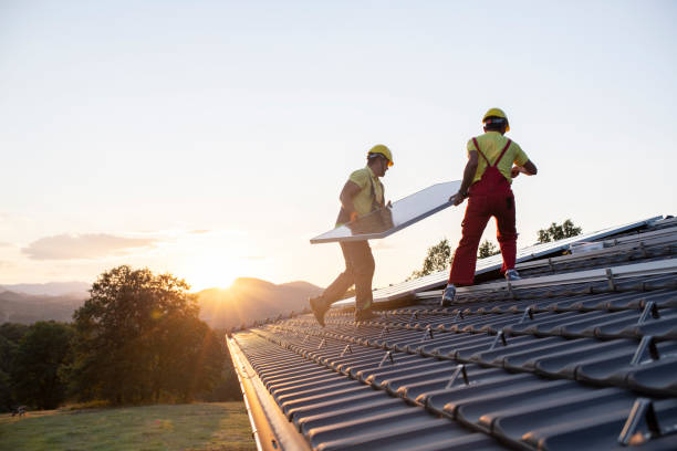 Best Roof Moss and Algae Removal  in Gantt, SC